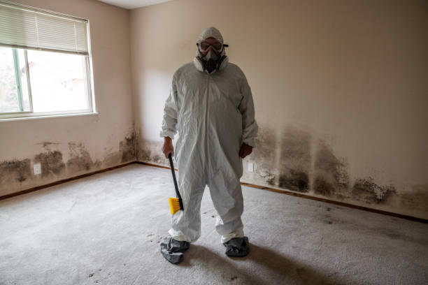 Best Mold Remediation  in Chickasha, OK